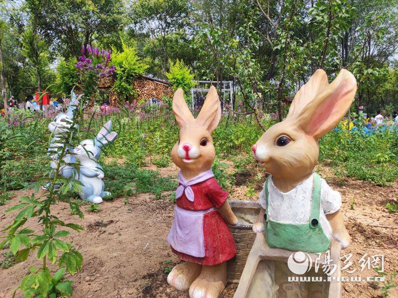 杨陵马家底村欢迎您!时光农场萌兔部落今日开园