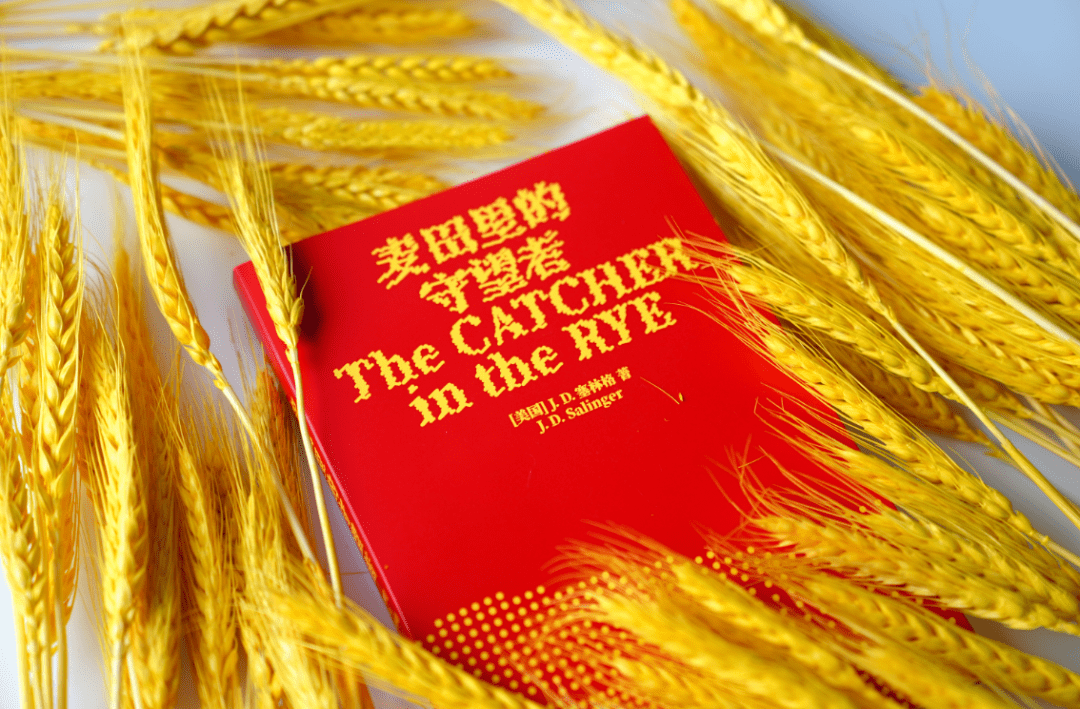 当你无法忍受成人世界的虚伪,就读这本书!_霍尔顿