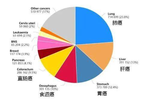 癌症|总是咳嗽、咽喉肿痛、有痰难咳尽？给肺部做个清洁，自由深呼吸！