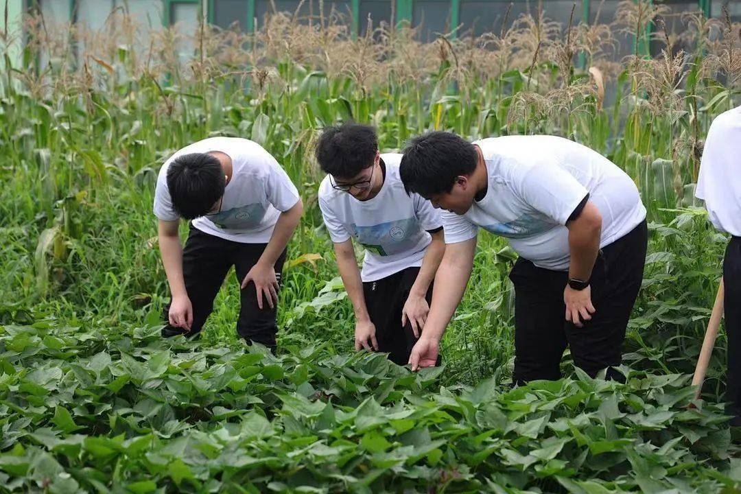 感知乡野田园体验耕读生活嘉种计划大学生乡土实践夏令营开启