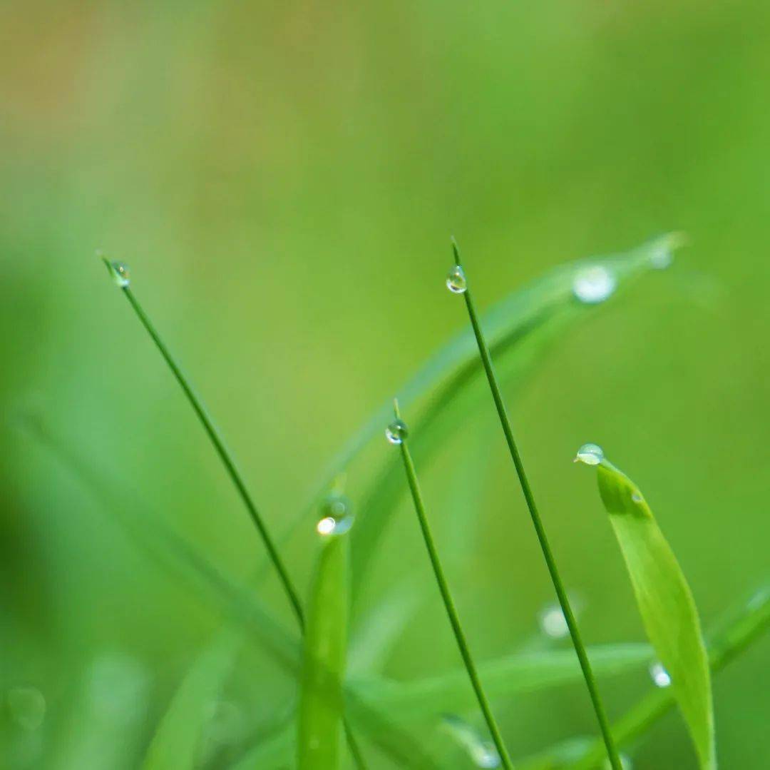 每晚的美文朗读 |《学会释然,风轻云淡》