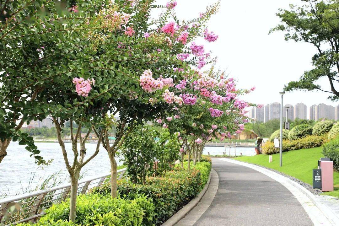 上海浦东紫薇花园图片