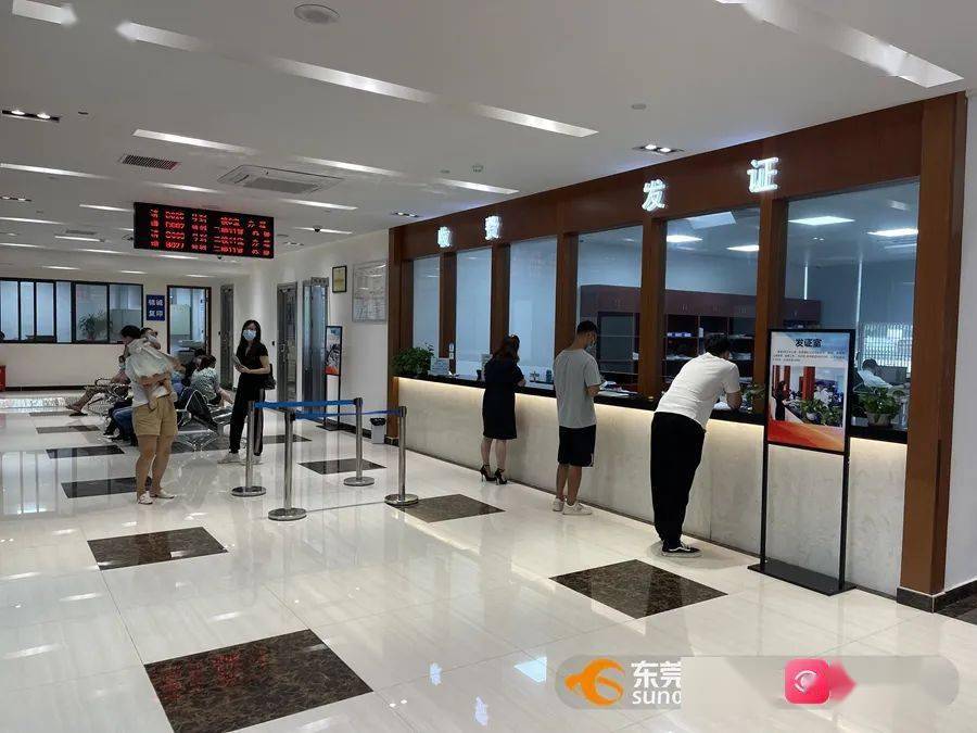 "清凉"办证有秘诀,快来解锁这些你不知道的公证服务