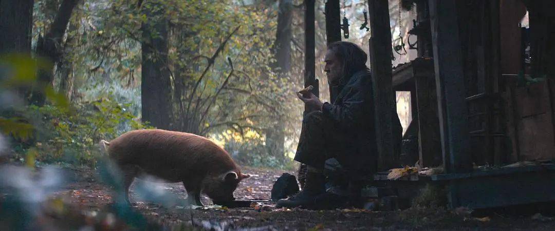 电影|烂片之王尼古拉斯，靠这片翻身？