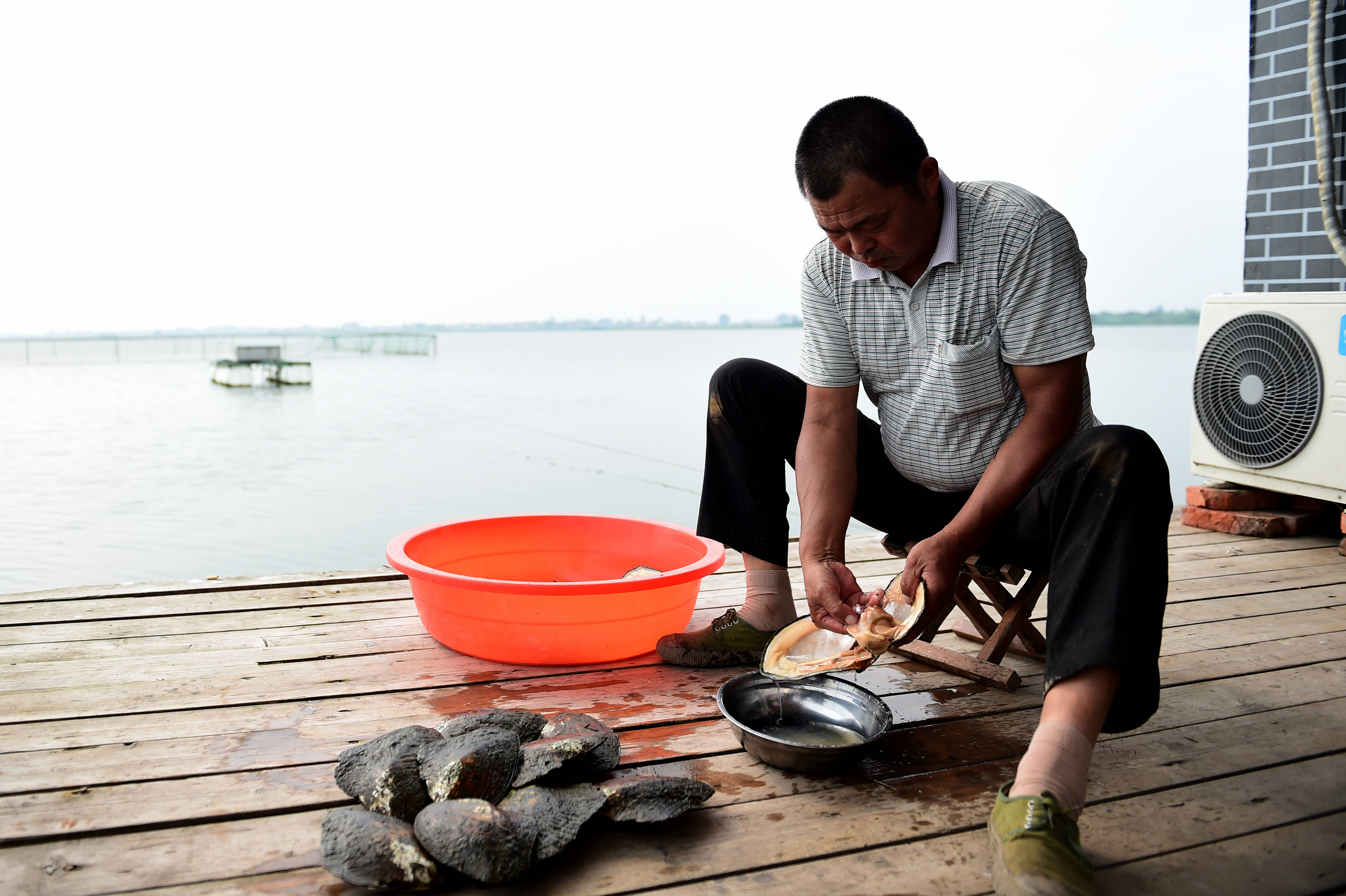 安徽颍上:珍珠养殖助力乡村振兴