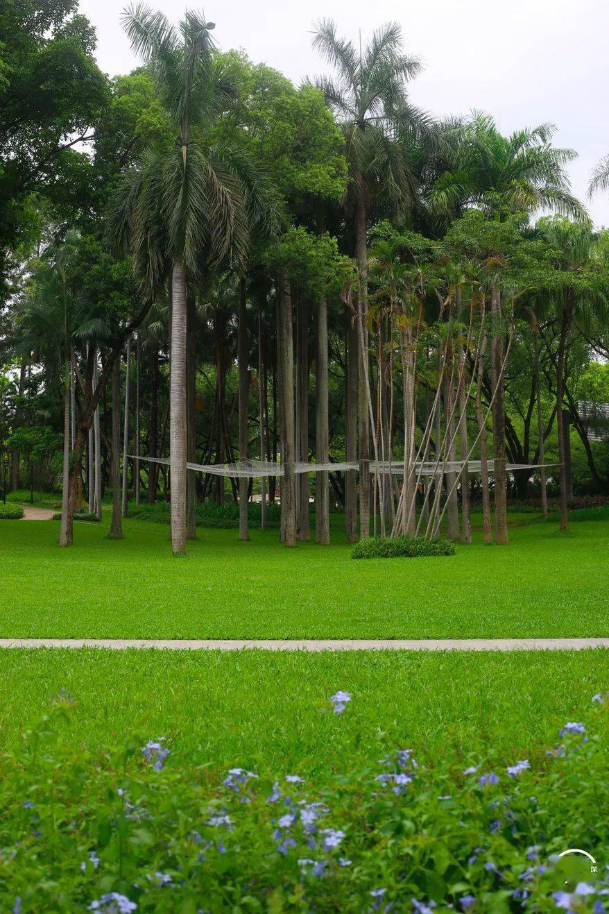 这里曾是深圳最繁华的地方之一._翠竹