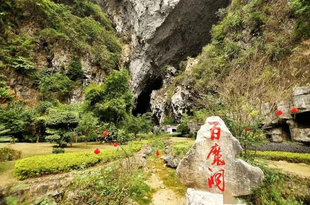 百色起义纪念馆巴马百鸟岩百魔洞赐福湖61长寿岛梦巴马长寿村田阳