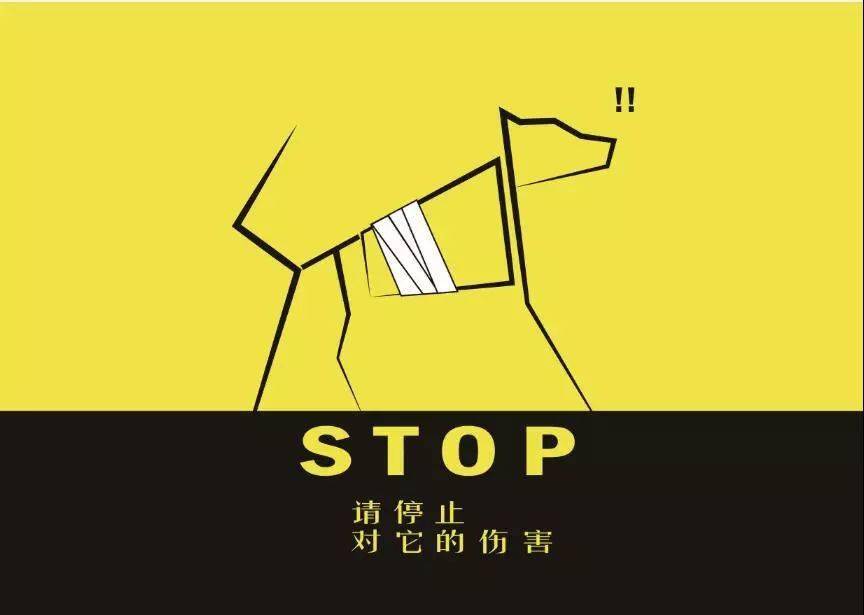 吃菜是杀生素食者也困惑的问题看梁文道如何解答