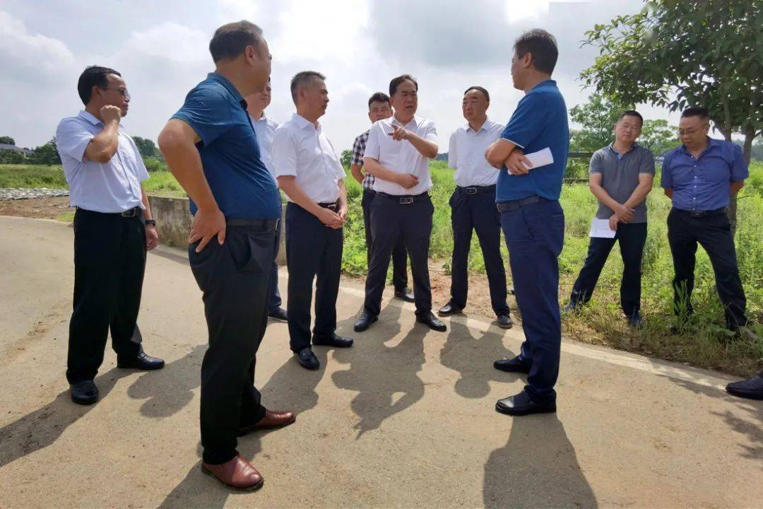 贺家湾村宁乡市领导文平陪同调研邹春林一行来宁乡调研乡村振兴工作