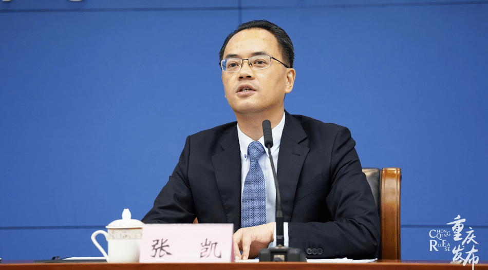 张凯回答记者提问 吴汪洋 摄