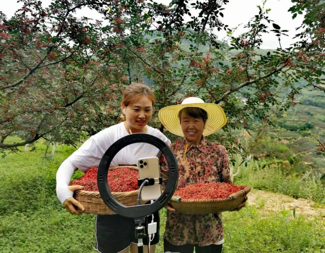 青春助農原產地直播萬畝花椒麻醉你的心