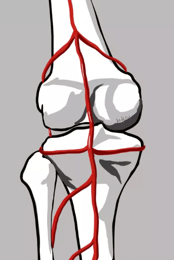 222b6dcd26da408cb8e8824b3813194a.png