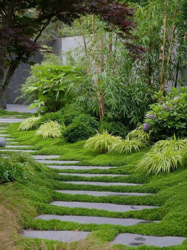 干货| 汀步—杂乱与韵律的交融之美_庭院