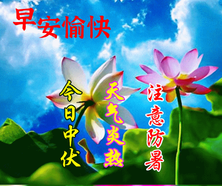 7月21日中伏最漂亮早上好动态表情图片大全,早晨好动图美图大全