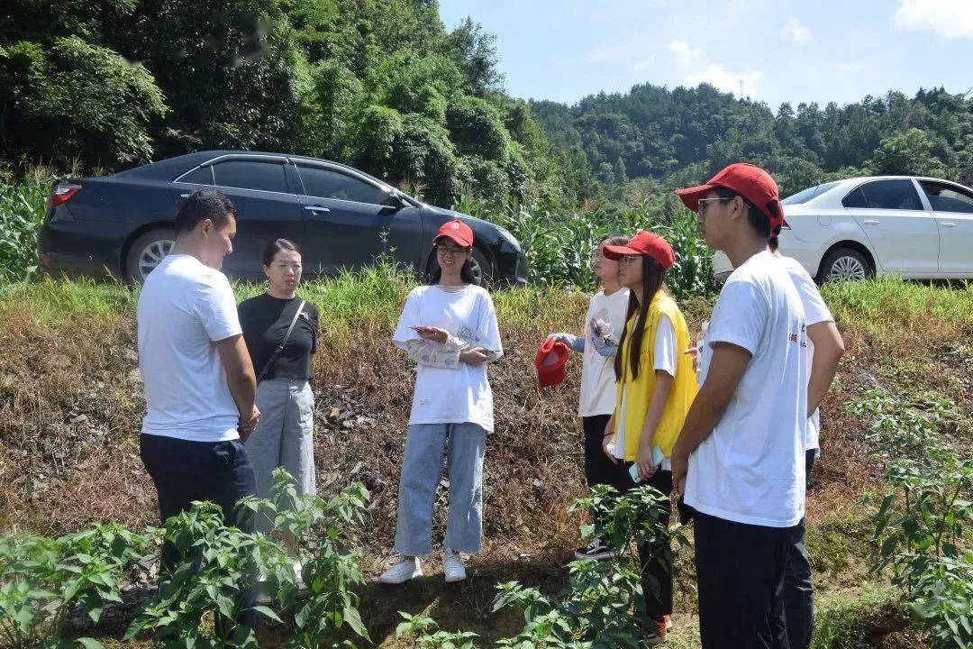 三下乡特辑西南政法大学经济学院2021年暑期三下乡乡村振兴社会实践