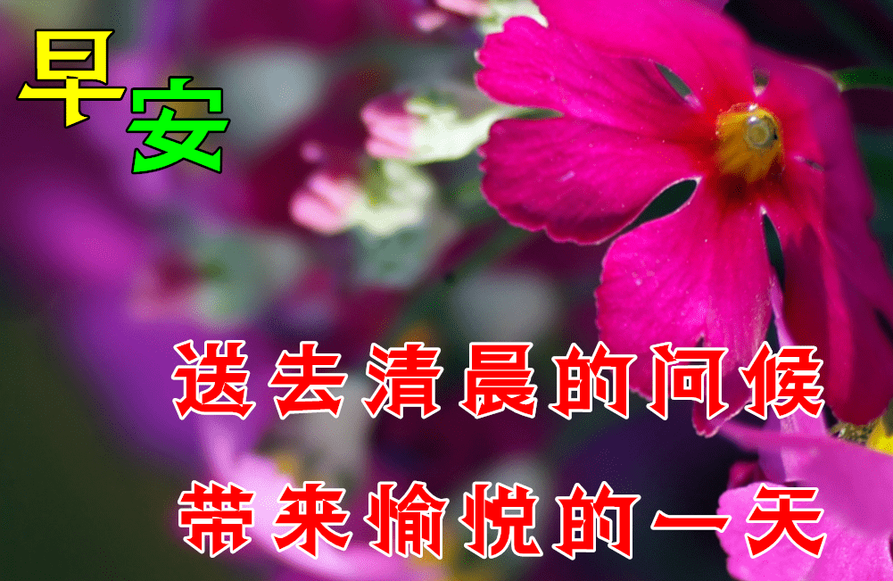 7月22日最漂亮早上好动态表情图片大全早晨好动图美图大全