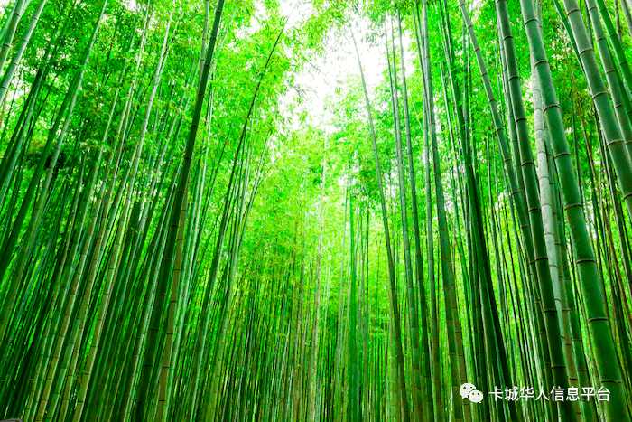 拍片排行_阿省榜上有名:全球最美电影拍摄点