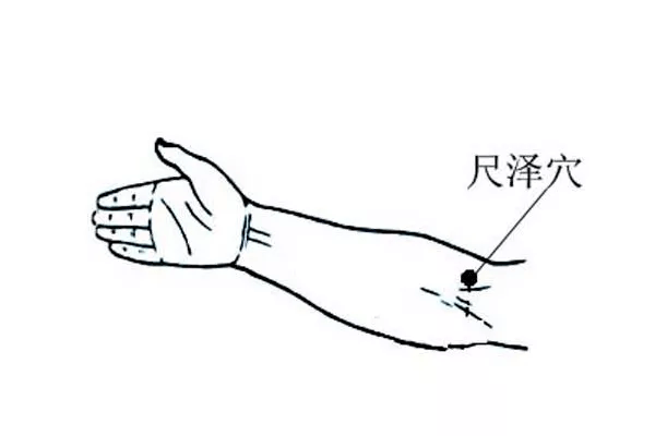 食物也不要吃，养病期间清淡为主。湿疹的“克星”——止痒穴1、 尺泽穴