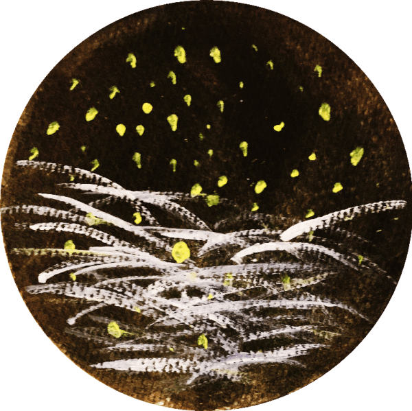 大暑一候:腐草为萤