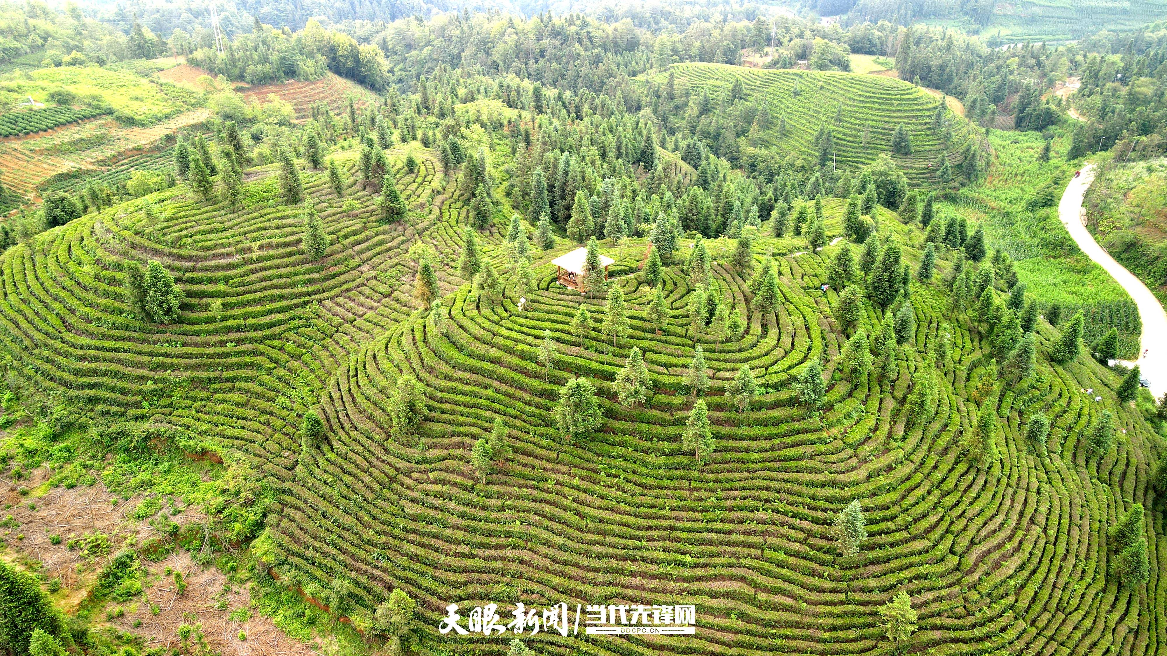 贞丰县小屯镇图片图片