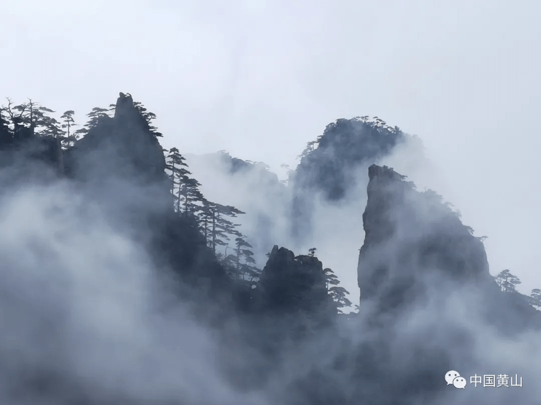 夏意正浓"暑"尽美好