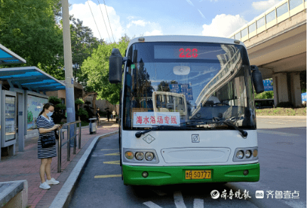 青岛228路公交双休日增发"海水浴场专线"_发车