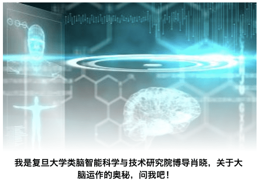 症状|大脑的奥秘②｜阿尔兹海默、帕金森，我们拿大脑退化怎么办？