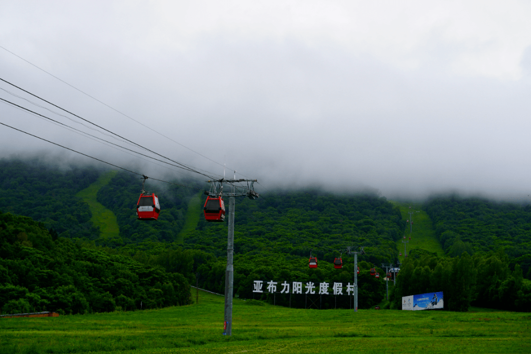 大暑|花开盛夏,再不抓紧这个夏季就过去了!_亚布力