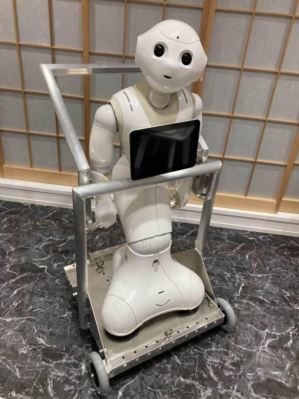 日本女博士一见钟情pepper机器人七年同居恋爱生活