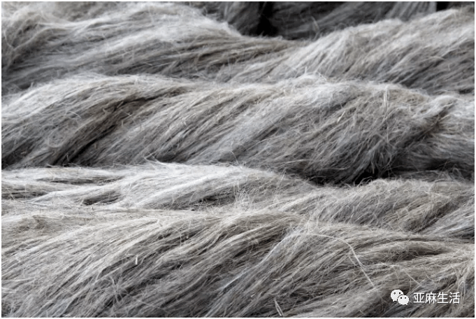 雨露麻来自大自然的馈赠