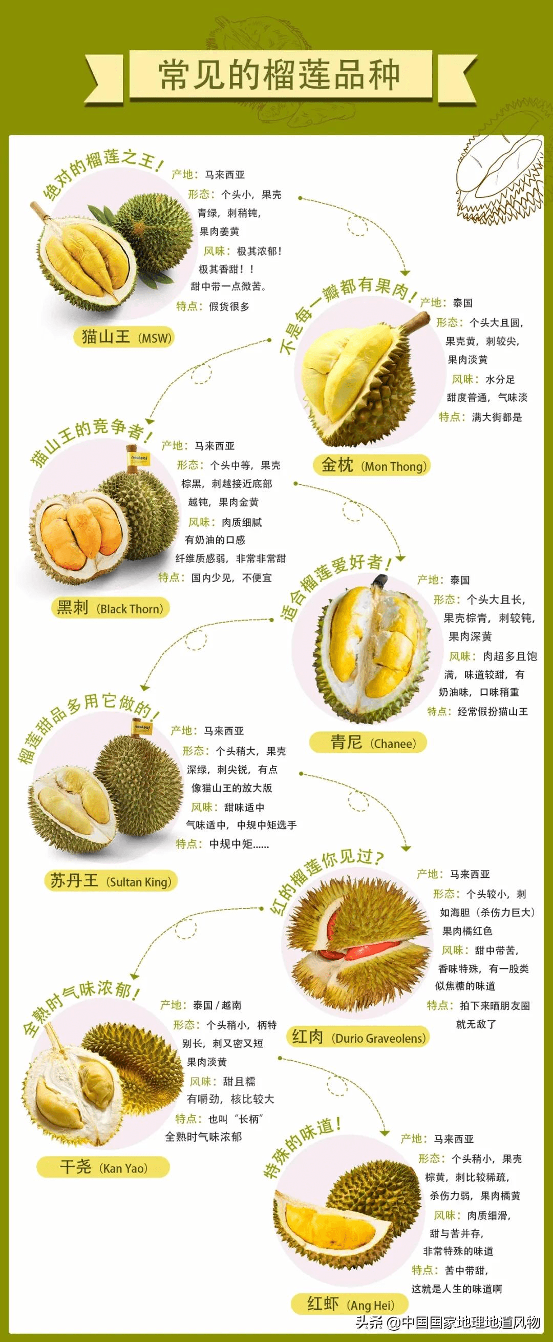 为什么榴莲这么贵贵贵贵贵呀?