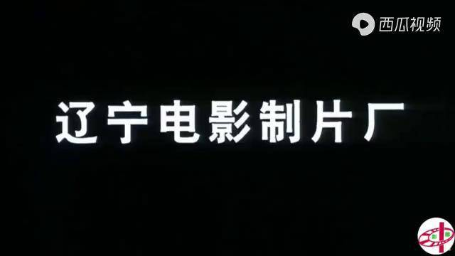 九十年代的国产警匪片辽宁电影制片厂摄制挺不错推荐给大家
