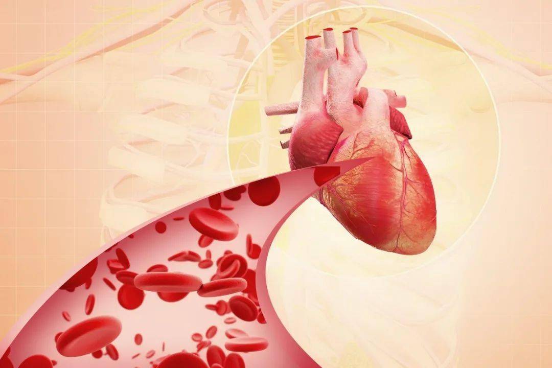 坏的胆固醇是高密度还是低密度 0679adfe8f474b15b7fc621d0c7c05b1.jpeg