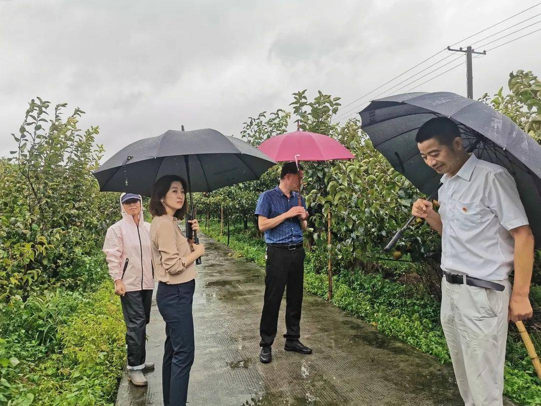 风雨无阻02区农水局全力以赴做好防汛防台工作