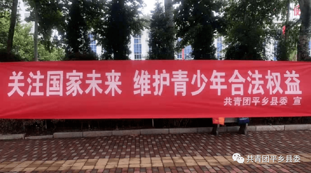 共青团平乡县委开展青春护航维护青少年合法权益宣传活动