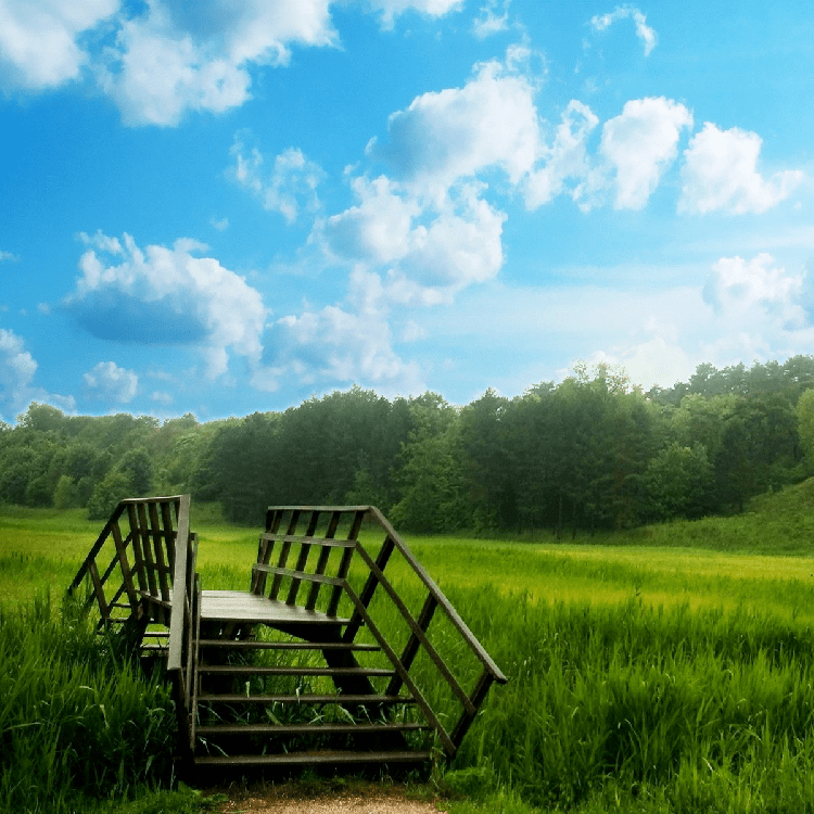 高清风景头像超清 e94afdcbd2d44c2daa9ff75f0c430c2d.png