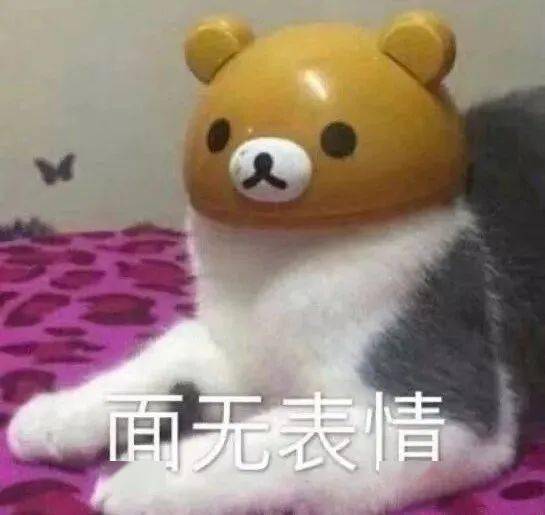 06b5382443d944f5ab1772c59b0423a5.jpeg
