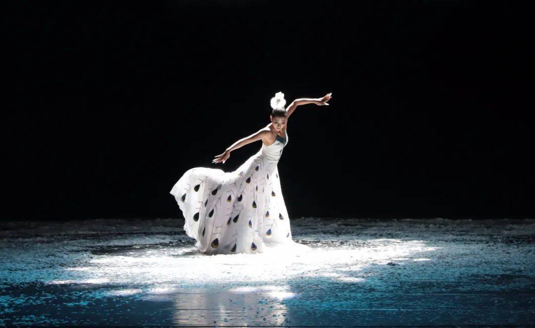 以舞韵之美传承文化之魂访新一代孔雀女王杨舞