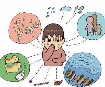 台风|应对台风灾害 做好健康防护