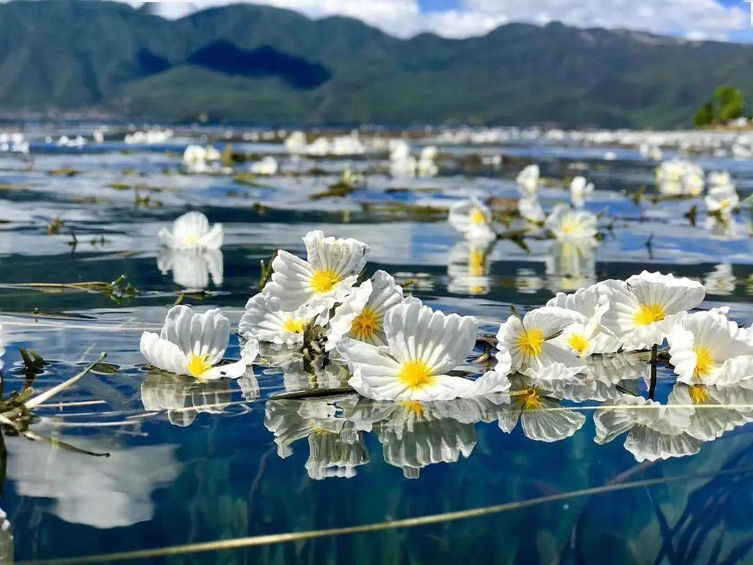 『云南 』大理古城,双廊洱海,吉普车旅拍,丽江古城,泸沽湖 ,香格里拉6