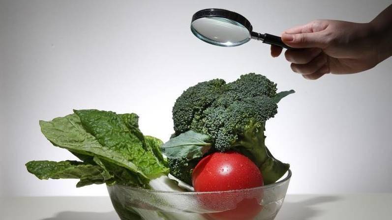 饮食|《健谈》观点丨夏季养心原则：心态平和、睡眠充足、饮食清淡