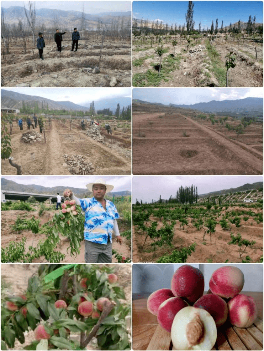 热门致富门路100条视频播放大全(热门致富门路100条视频播放大全免费观看)