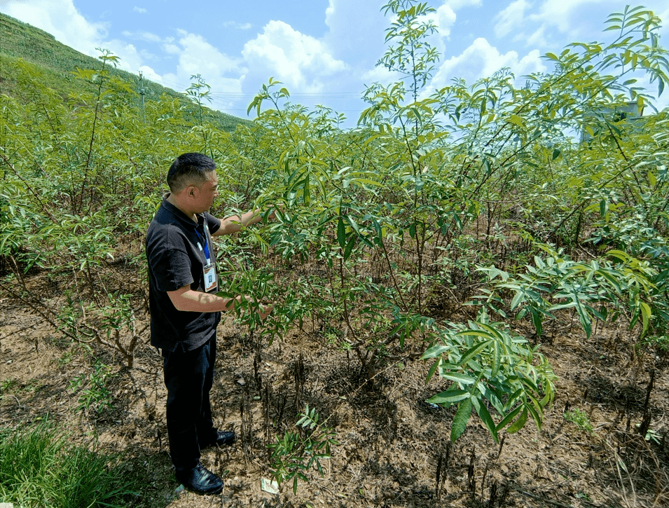 全市优秀共产党员余兴忠:敢闯新路 一心为民 打造北部山区新农村