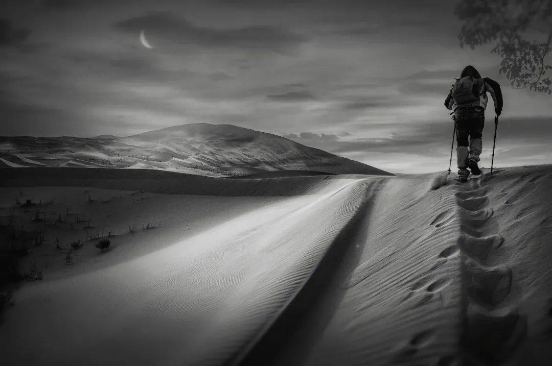 模型|人的一生都在为认知买单