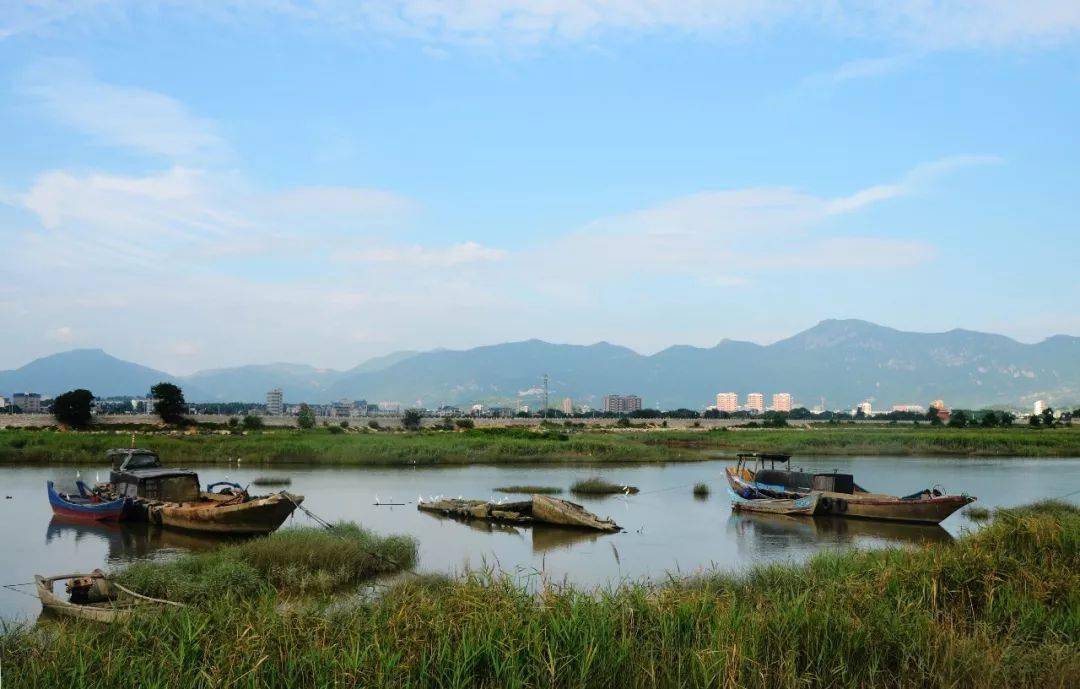 长乐东湖湿地公园图片