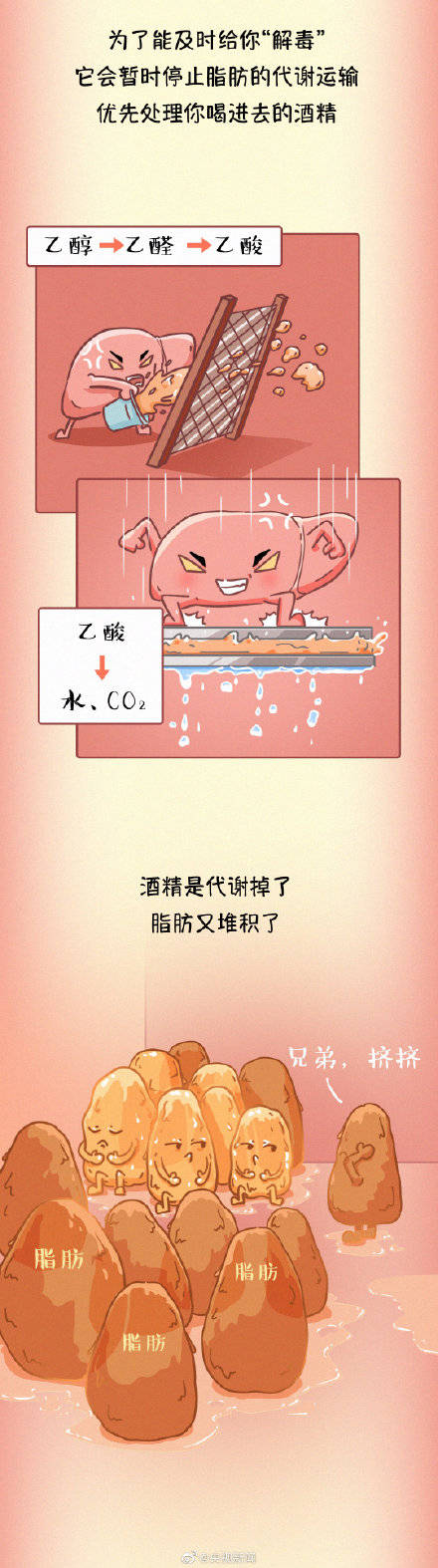疾病|为健康转存！ 常见伤肝行为有哪些？