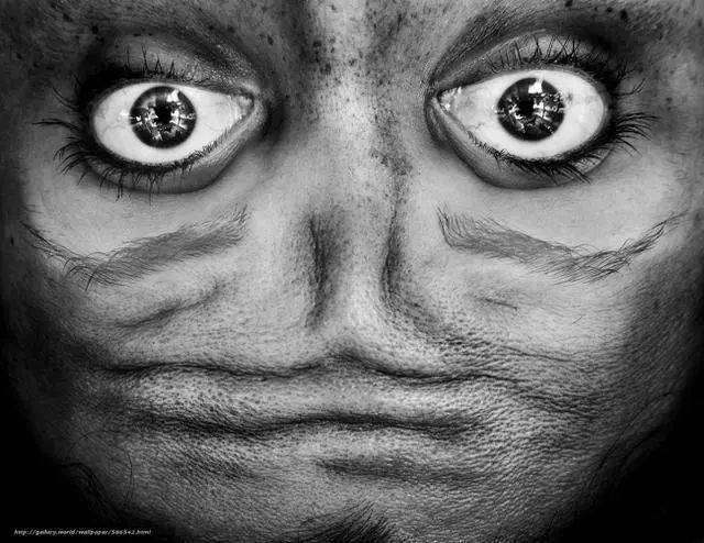 11张不符合人类视觉的照片太不可思议啦