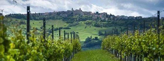 Wine|170家酒庄，意大利一出手就是王炸