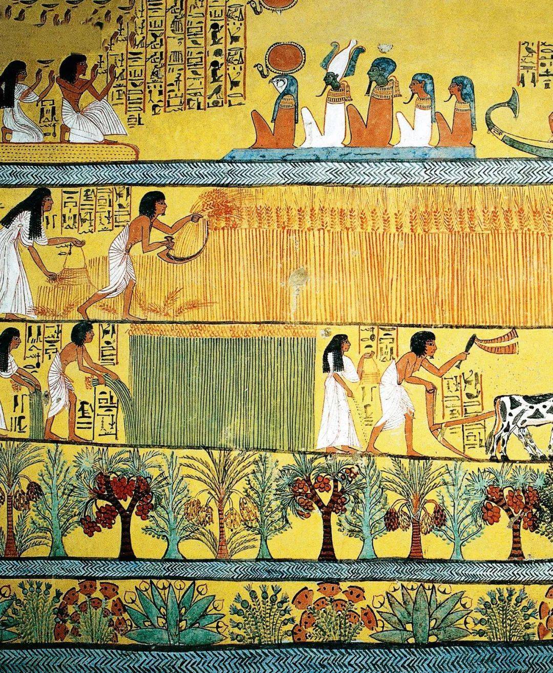 农业劳动者占据了人口的大多数,无论古埃及,古希腊还是古罗马,都是