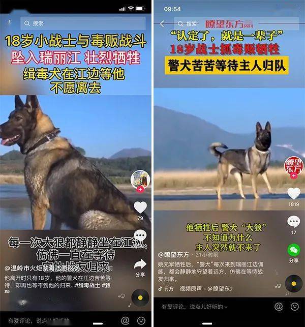 着远方,他牺牲后,警犬"大狼"不知道为什么训导员(姚元军)突然就不来了